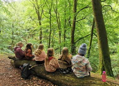 Piger ved Troldeslugten