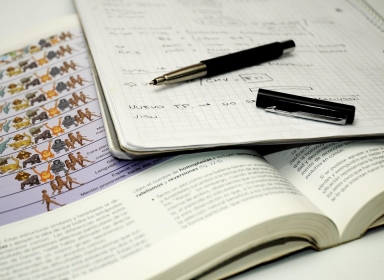 Fotokredditering: Billede af paula bassi fra Pixabay Fotokredditering: Billede af paula bassi fra Pixabay