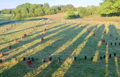 Den oprindelige bebyggelse på Hvolris Den oprindelige bebyggelse på Hvolris